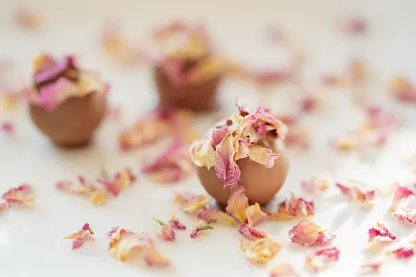 Kazino Chilli Spins Android/iOS programa